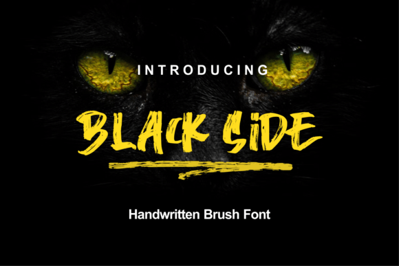 Black Side: A Trendy Display Font for Modern Campaigns