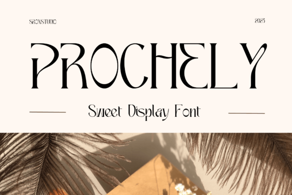 Prochely: A Modern Display Font for Web Design Projects